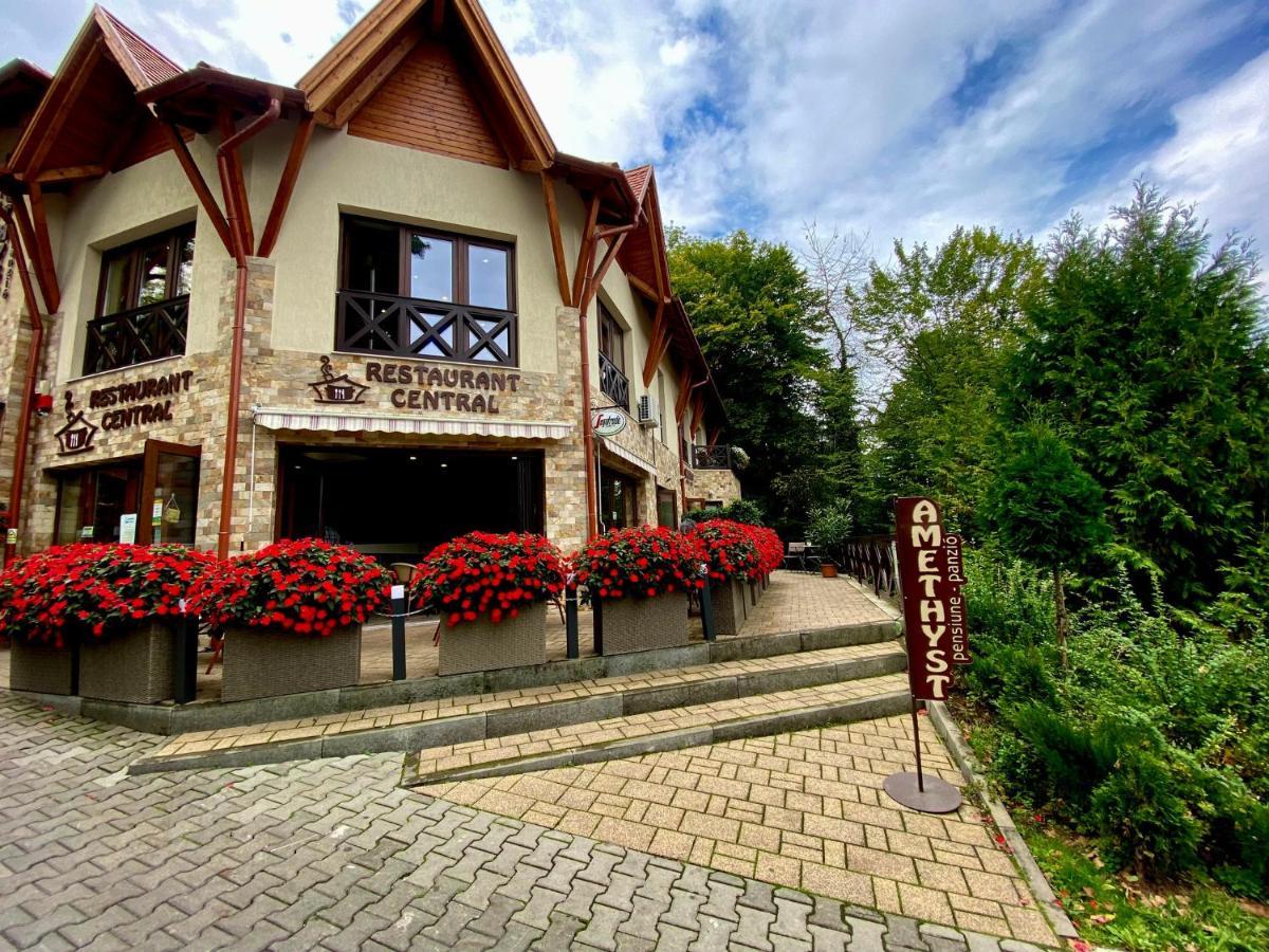 Bed and Breakfast Amethyst Sovata Zewnętrze zdjęcie