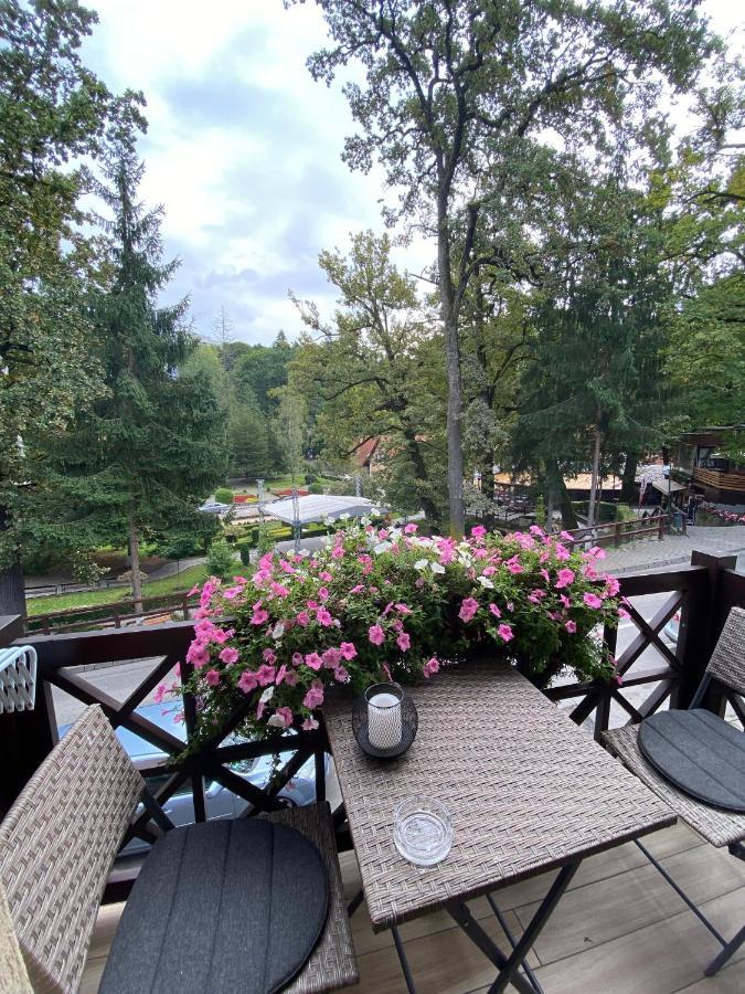 Bed and Breakfast Amethyst Sovata Zewnętrze zdjęcie