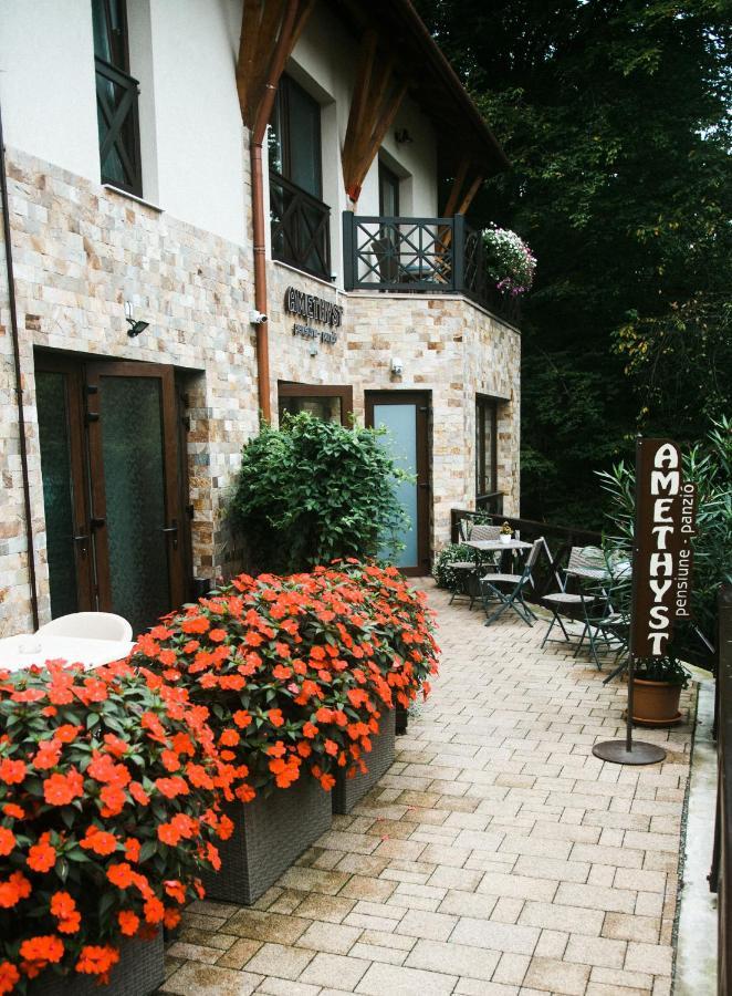 Bed and Breakfast Amethyst Sovata Zewnętrze zdjęcie